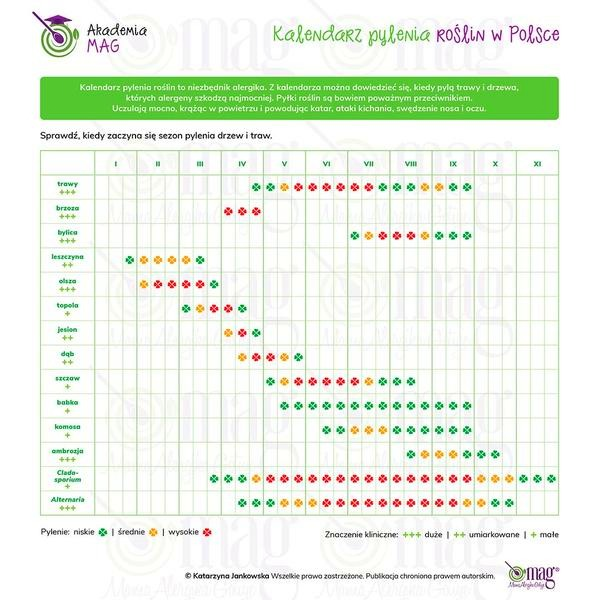 Alergia na pyłki roślin – objawy, które łatwo pomylić z przeziębieniem