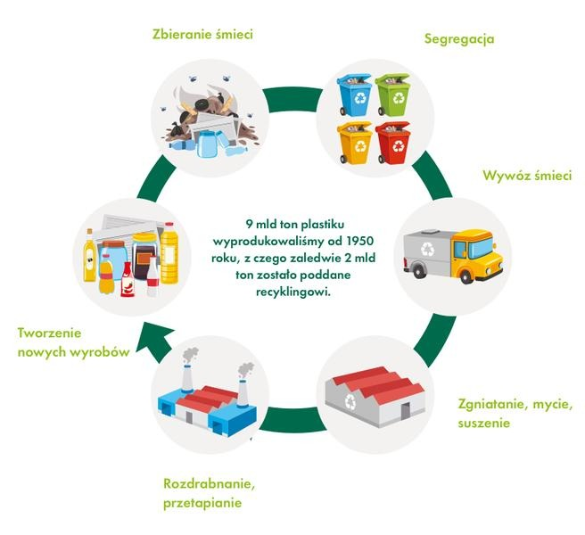 Czy każdy plastik można poddać recyklingowi? Symbole, wyjątki i zasady segregacji