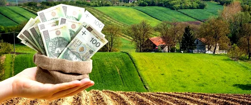Dopłaty dla rolników 2026 – kiedy wypłaty i kto dostanie pieniądze?