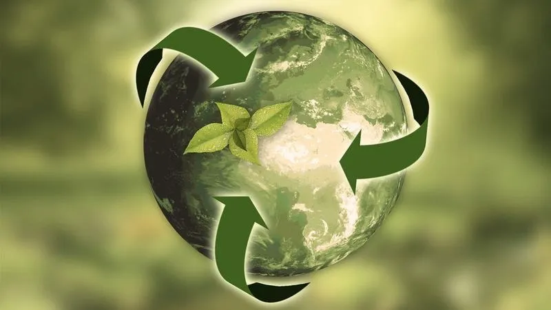 Gdzie wyrzucać odpady? Oto najlepsze wyszukiwarki, które pomogą Ci w recyklingu!