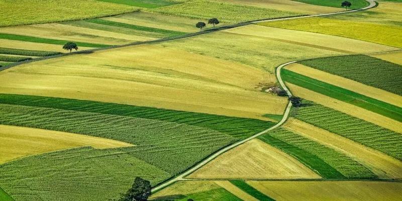 Ile ziemi mogę kupić, nie będąc rolnikiem? Sprawdź zasady!