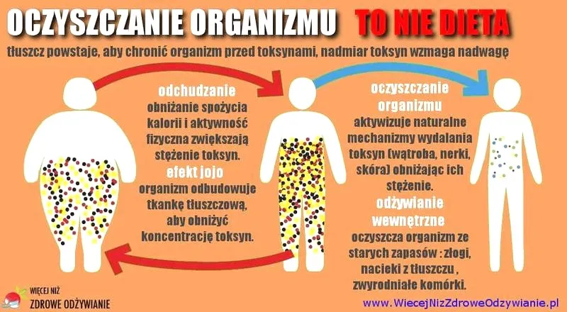 Jak oczyścić organizm ze smogu? Dieta, zioła i skuteczne nawyki