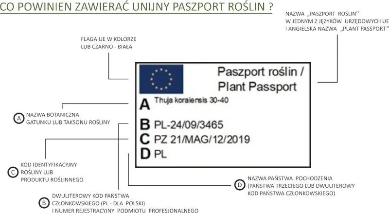 Jak uzyskać paszport dla roślin: formularze, terminy i koszty