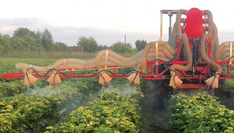 Jakie opryski na truskawki wiosną? Terminy, preparaty i bezpieczne dawkowanie