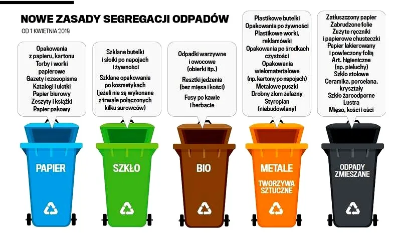 Praktyczny przewodnik: jak segregować resztki jedzenia — bio, zmieszane i trudne odpady