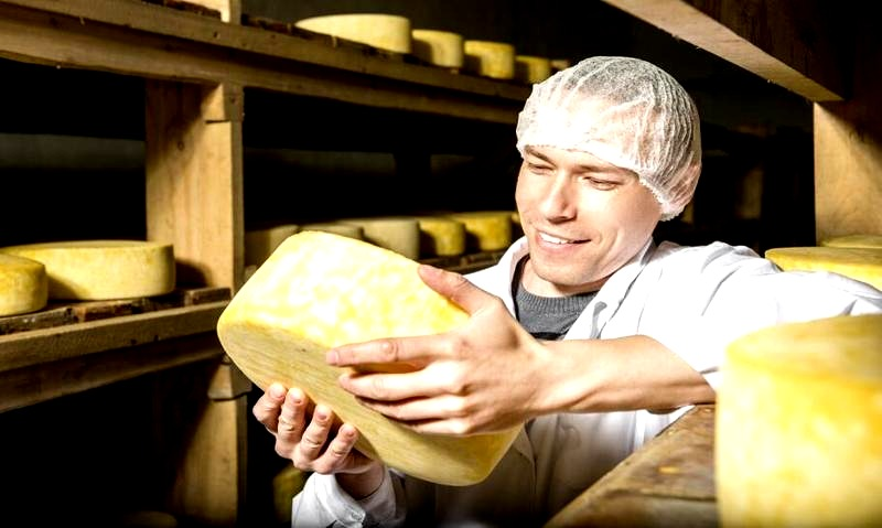 Produkcja serów: rolnictwo czy przemysł? Jasne kryteria klasyfikacji