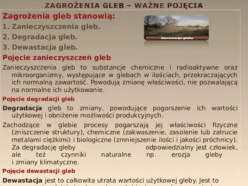 Alkalizacja gleby