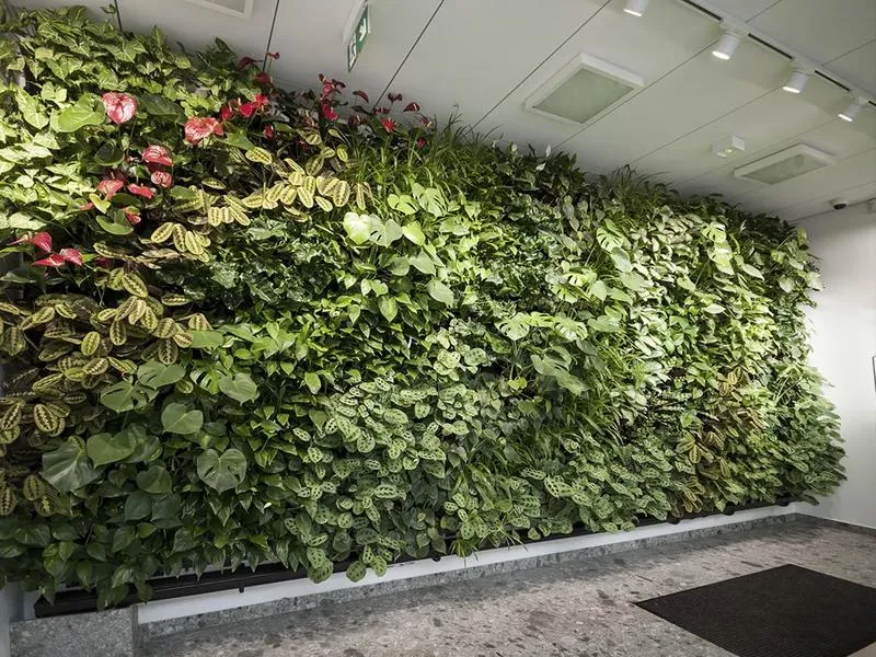Budowa ogrodu wertykalnego
