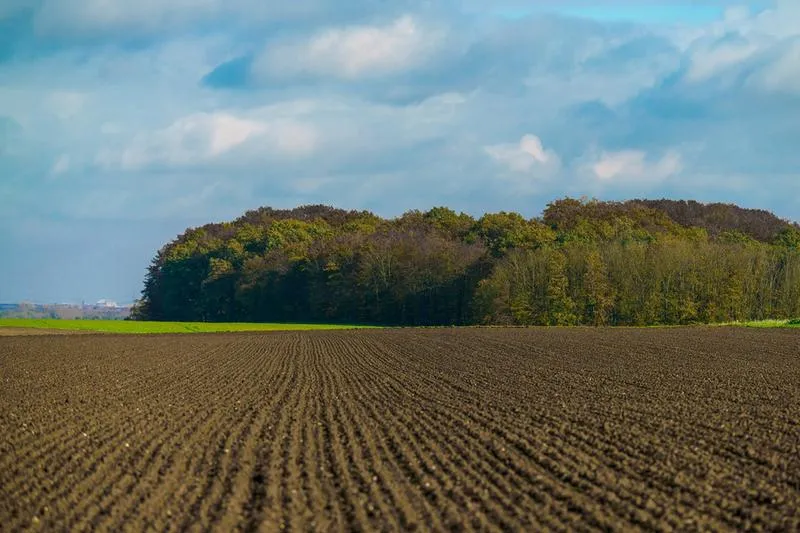 Dostępność ziemi dla nie-rolników