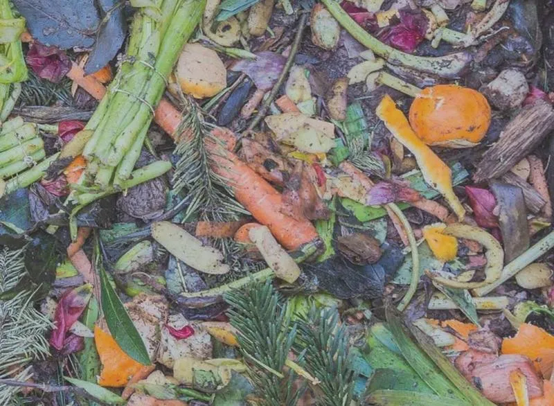 Kompostowanie odpadów bio