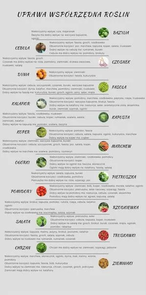 Korzyści z sadzenia roślin