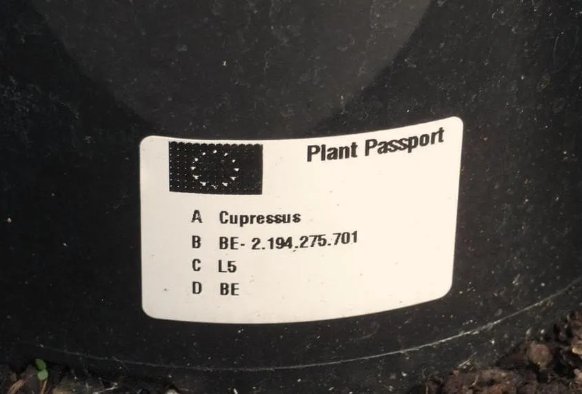 Koszty uzyskania paszportu