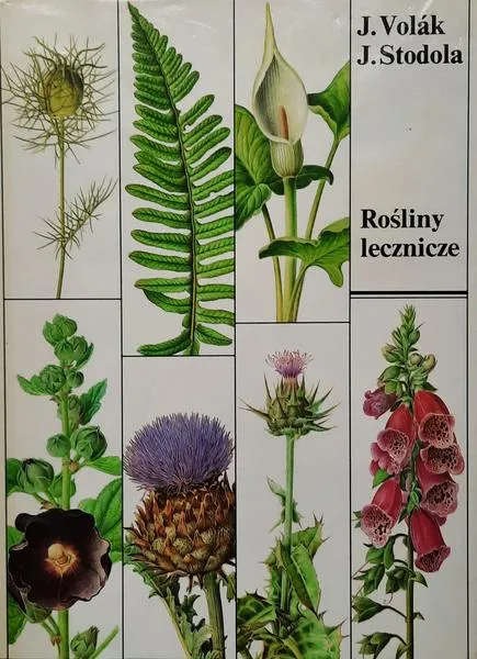 Naturalne środki na zdrowie