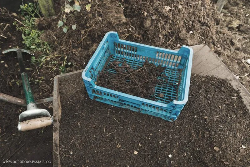 Nawożenie organiczne i mineralne