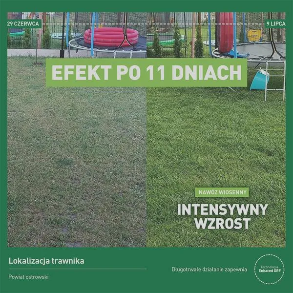 Nawożenie trawnika jesienią
