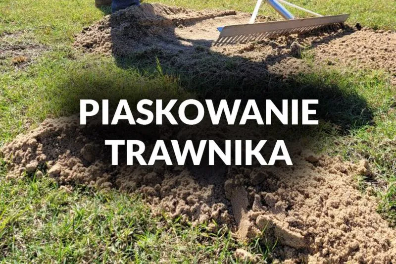 Piaskowanie trawnika