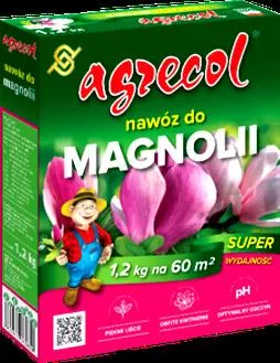 Pielęgnacja magnolii