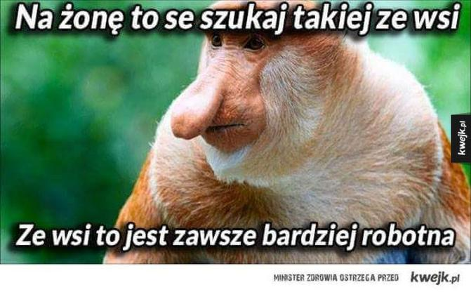 Poznawanie dziewczyny na wsi