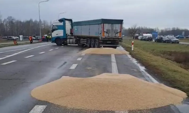 Przyczyny spadku cen zboża