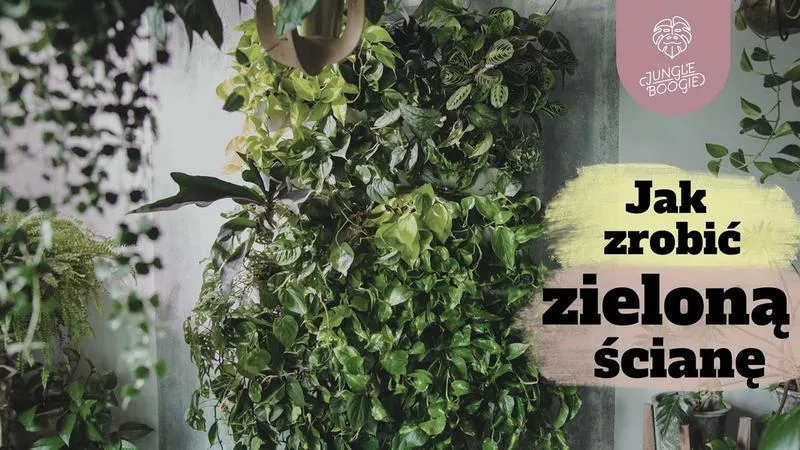 Rośliny do zielonej ściany