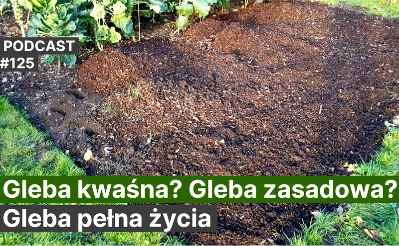 Rośliny na glebach zasadowych