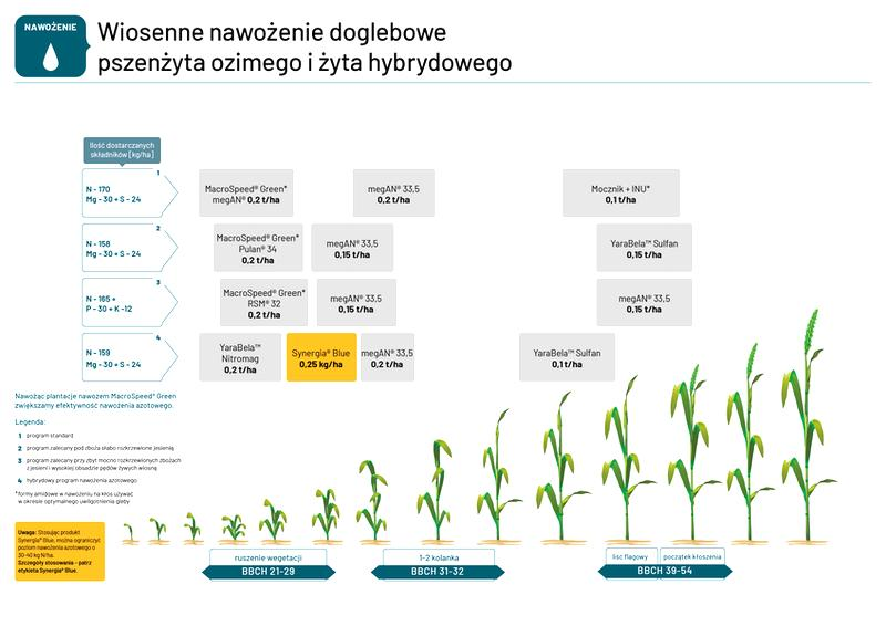 Składniki nawozów pod żyto