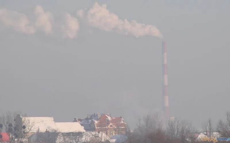 Smog w Poznaniu