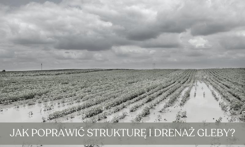 Uprawa na ciężkiej glebie