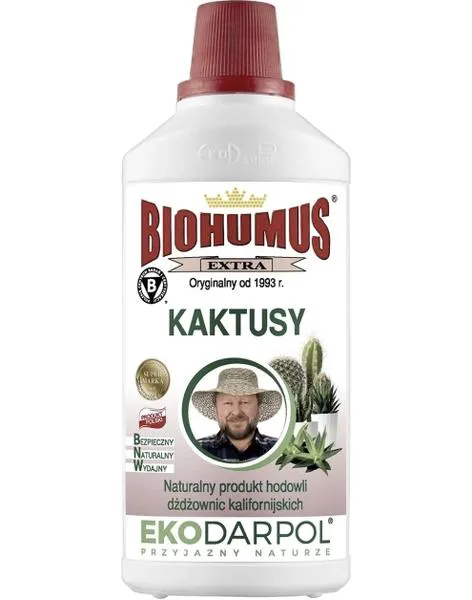 Zdrowy wzrost kaktusów